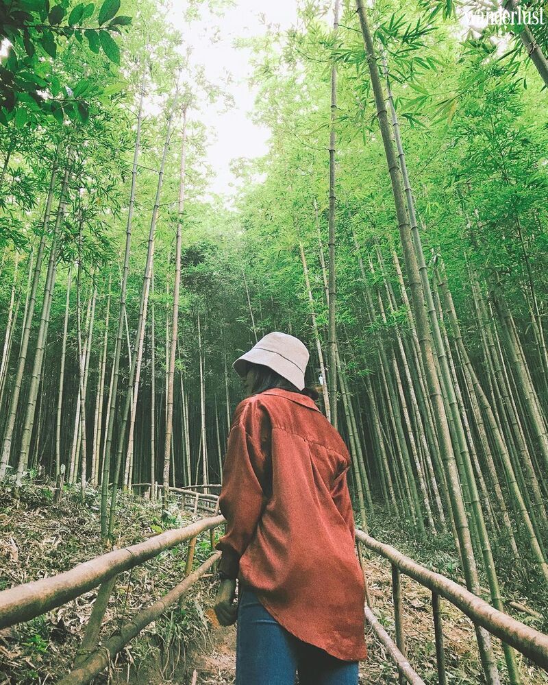 5 địa điểm check in cực chất tại Yên Bái | Wanderlust Tips