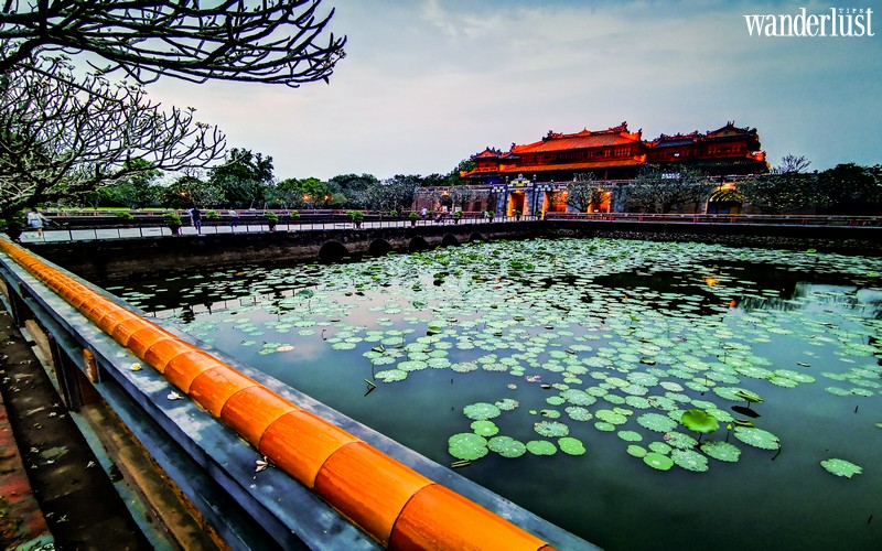 Sen về dịu dàng trên Đại Nội Huế 7 Đại Nội Huế dịu dàng mùa Sen về | Wanderlust Tips