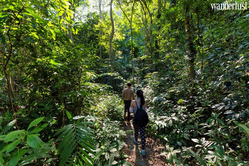 5 địa điểm trekking nổi tiếng ở Việt Nam | Wanderlust Tips