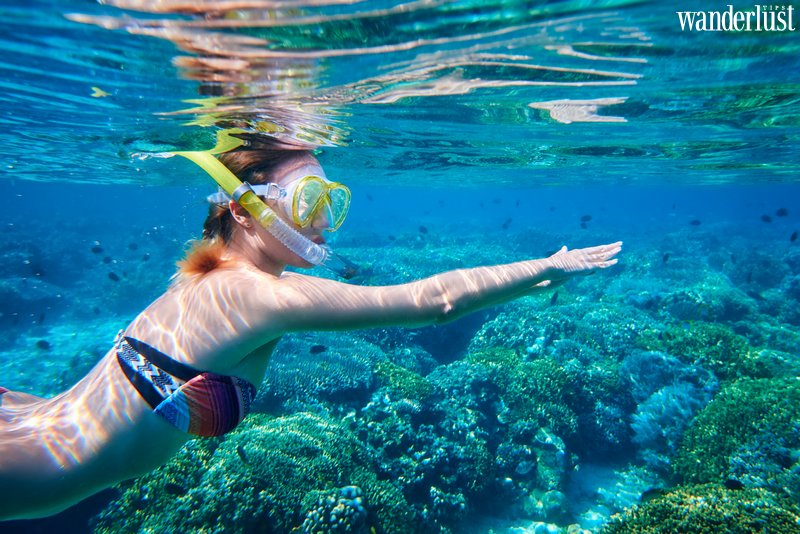 5 địa điểm trekking nổi tiếng ở Việt Nam | Wanderlust Tips