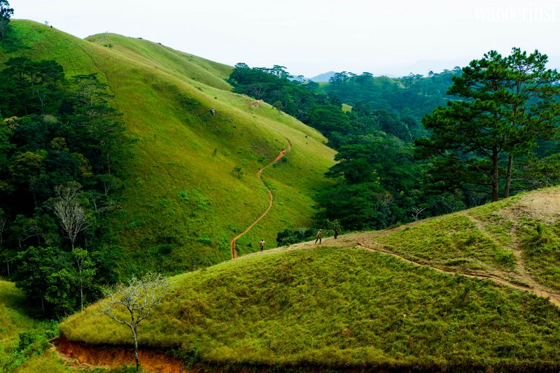 5 địa điểm trekking nổi tiếng ở Việt Nam | Wanderlust Tips
