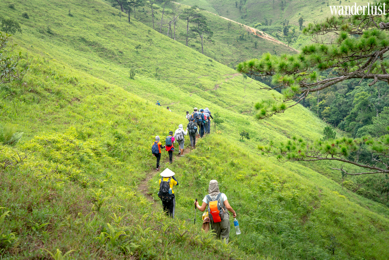 5 địa điểm trekking nổi tiếng ở Việt Nam | Wanderlust Tips