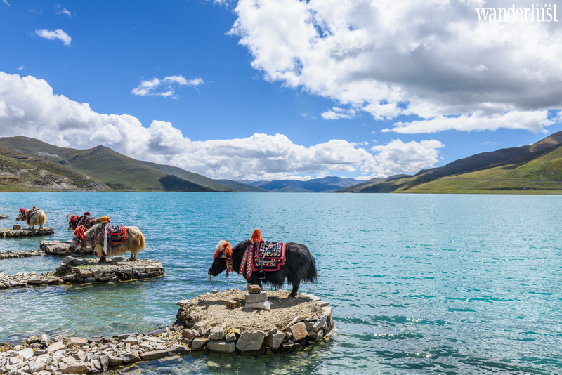 Đến Tây Tạng khám phá hồ thành Yamdrok Yongcuo | Wanderlust Tips 