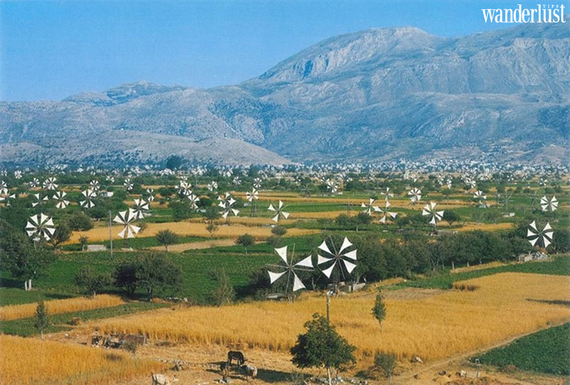 Đảo Crete: Kỳ quan trên biển Aegean, Hy Lạp 19 Đảo Crete, kỳ quan trên biển Aegean, Hy Lạp | Wanderlust Tips