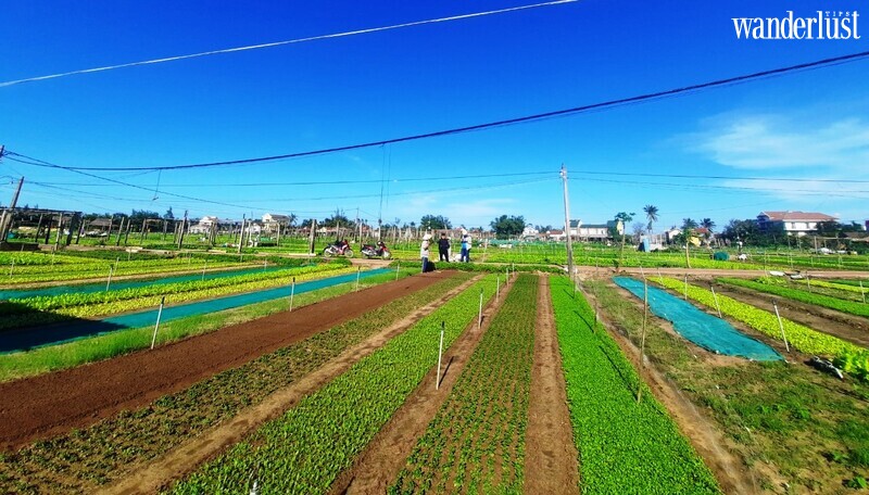 Những làng nghề trăm tuổi ở Hội An 13 Những làng nghề trăm tuổi ở Hội An | Wanderlust Tips