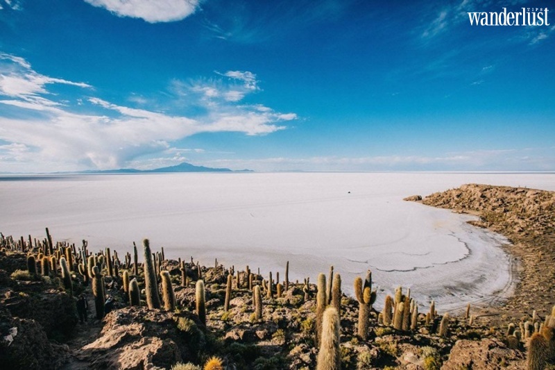 Cánh đồng muối Salar de Uyuni đẹp mê hồn du khách 6 Cánh đồng muối Salar de Uyuni đẹp mê hồn du khách | Wanderlust Tips