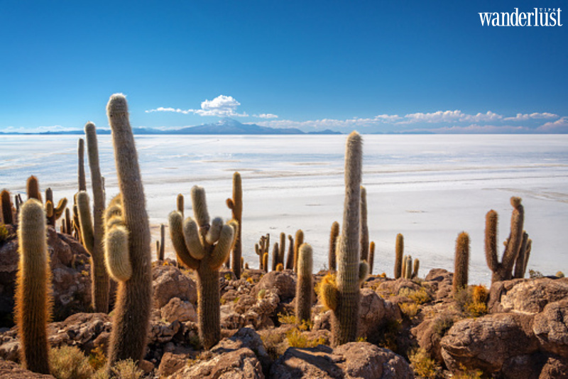 Cánh đồng muối Salar de Uyuni đẹp mê hồn du khách 11 Cánh đồng muối Salar de Uyuni đẹp mê hồn du khách | Wanderlust Tips