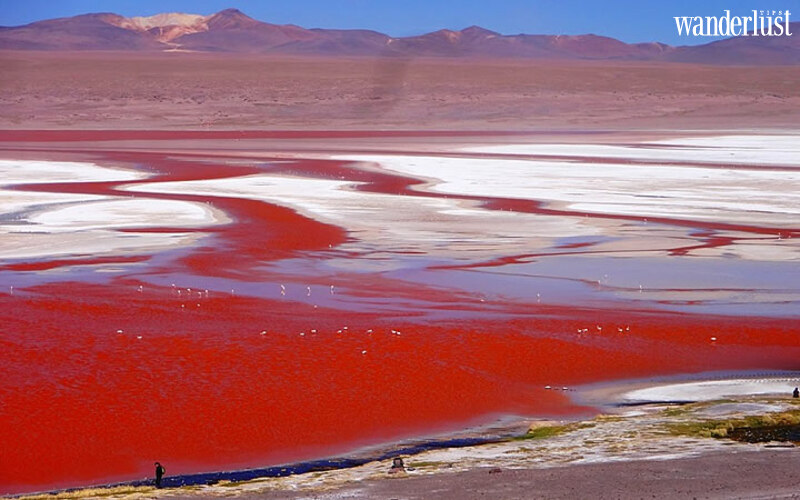 Cánh đồng muối Salar de Uyuni đẹp mê hồn du khách 12 Cánh đồng muối Salar de Uyuni đẹp mê hồn du khách | Wanderlust Tips