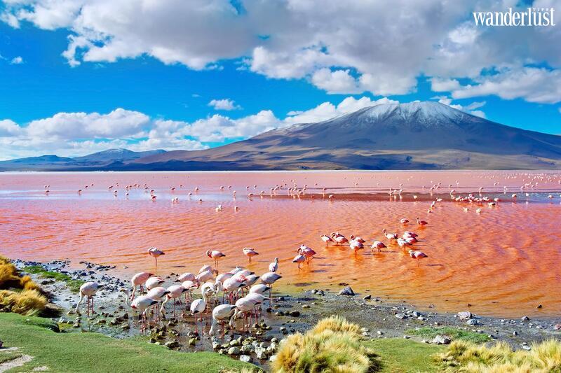 Cánh đồng muối Salar de Uyuni đẹp mê hồn du khách 14 Cánh đồng muối Salar de Uyuni đẹp mê hồn du khách | Wanderlust Tips