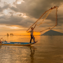 ho dau tieng tay ninh cover