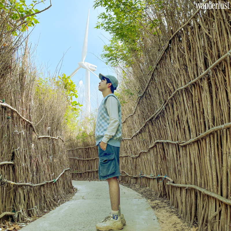 Đảo Phú Quý: Điểm check - in không thể bỏ lỡ trong mùa hè 13 Đảo Phú Quý: địa điểm check - in không thể bỏ lỡ trong mùa hè | Wanderlust Tips