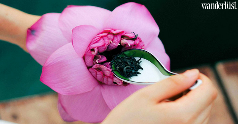 Người Việt Nam uống trà như thế nào? 8 Người Việt Nam uống trà như thế nào? | Wanderlust Tips