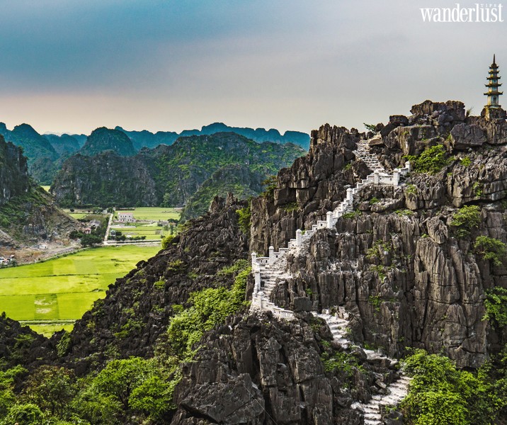 Mùa sen nở ở Hang Múa đẹp như tiên cảnh chốn nhân gian | Wanderlust Tips
