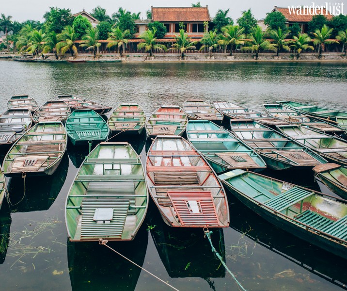 Mùa sen nở ở Hang Múa đẹp như tiên cảnh chốn nhân gian | Wanderlust Tips