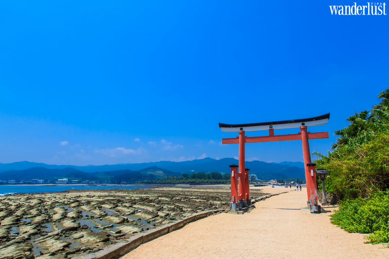 Ainoshima: "thiên đường" của các boss mèo 13 Ainoshima: "thiên đường" của các boss mèo | Wanderlust Tips