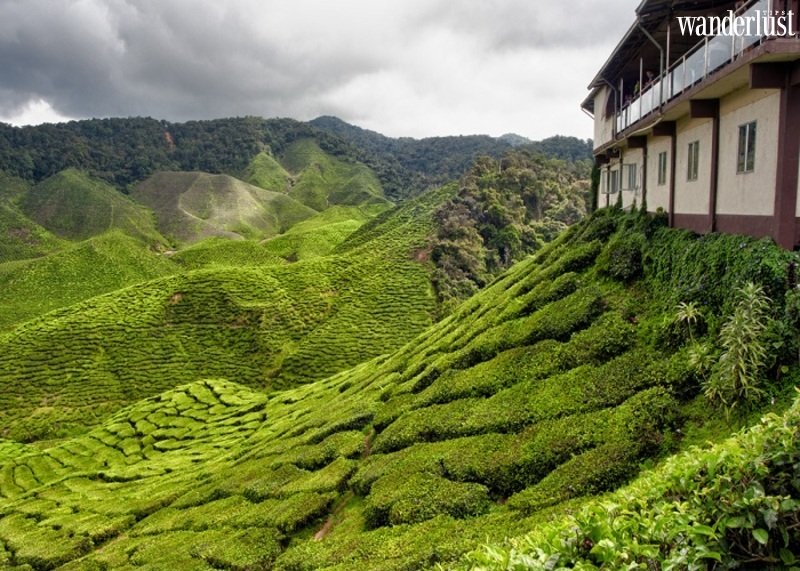Gợi ý 5 địa điểm du lịch Đông Nam Á cho mùa hè | Wanderlust Tips 