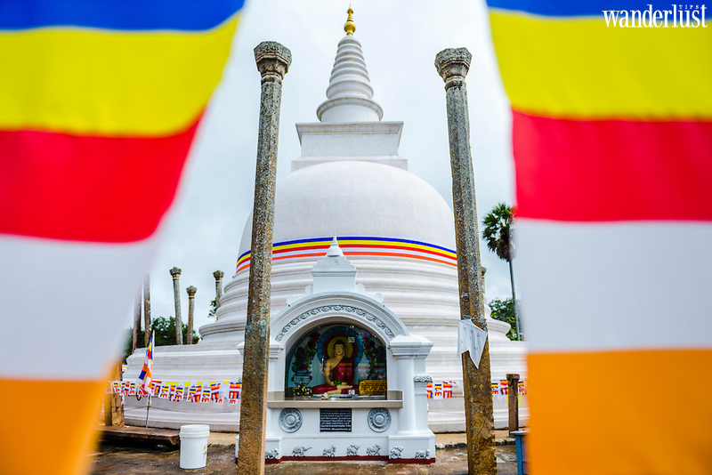 Về Sri Lanka tham gia Lễ hội rước Xá lợi Răng Phật - Esala Perahera | Wanderlust Tips