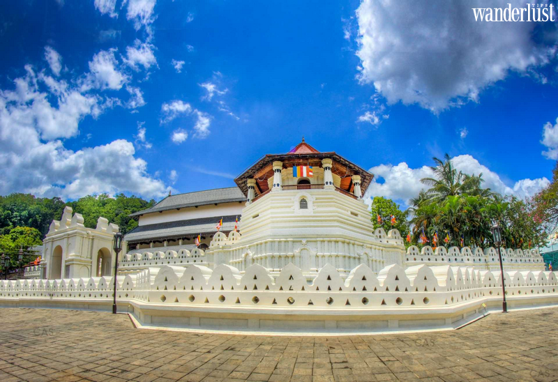 Về Sri Lanka tham gia Lễ hội rước Xá lợi Răng Phật - Esala Perahera | Wanderlust Tips