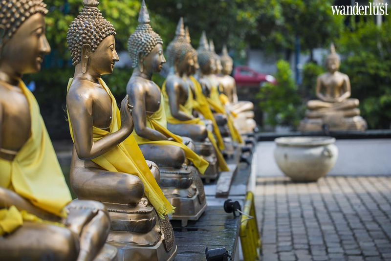 Về Sri Lanka tham gia Lễ hội rước Xá lợi Răng Phật - Esala Perahera | Wanderlust Tips