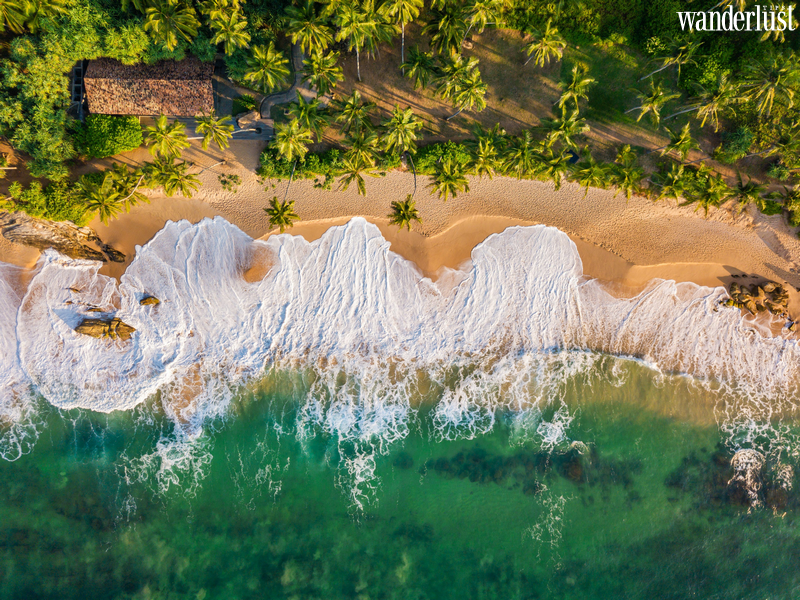 Về Sri Lanka tham gia Lễ hội rước Xá lợi Răng Phật - Esala Perahera | Wanderlust Tips