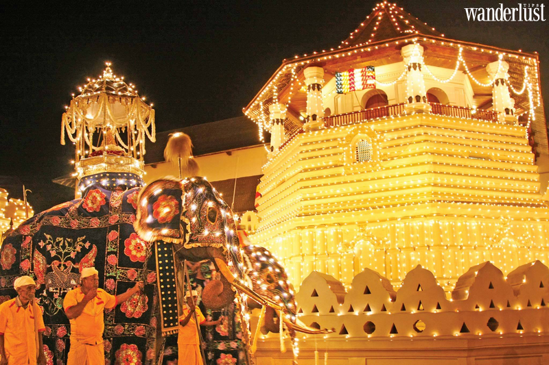 Về Sri Lanka tham gia Lễ hội rước Xá lợi Răng Phật - Esala Perahera | Wanderlust Tips