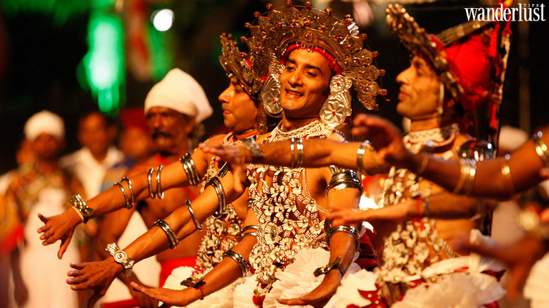 Về Sri Lanka tham gia Lễ hội rước Xá lợi Răng Phật - Esala Perahera | Wanderlust Tips