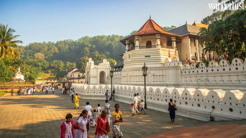 Về Sri Lanka tham gia Lễ hội rước Xá lợi Răng Phật - Esala Perahera | Wanderlust Tips