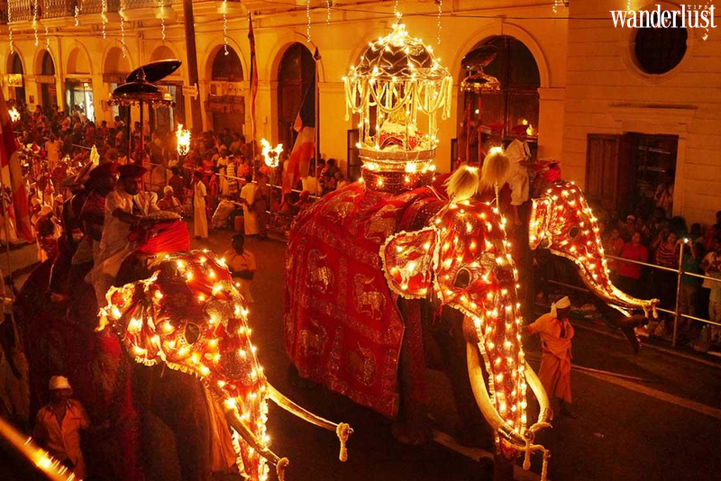 Về Sri Lanka tham gia Lễ hội rước Xá lợi Răng Phật - Esala Perahera | Wanderlust Tips