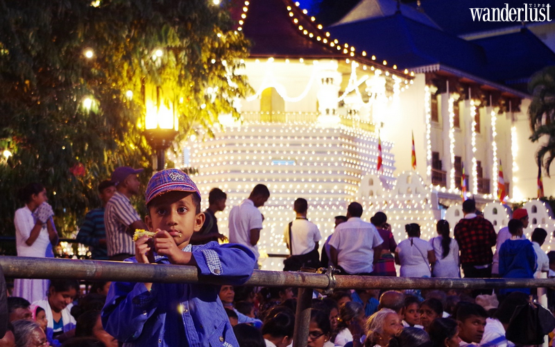 Về Sri Lanka tham gia Lễ hội rước Xá lợi Răng Phật - Esala Perahera | Wanderlust Tips