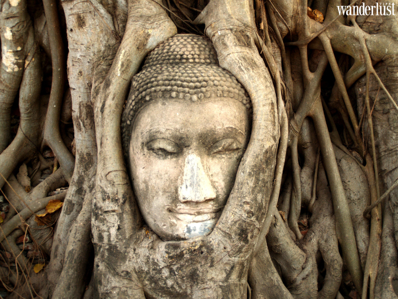 Ayutthaya: Vùng đất quá khứ vàng son của xứ sở chùa Vàng 8 Ayutthaya - vùng đất quá khứ vàng son của xứ sở chùa Vàng | Wanderlust Tips