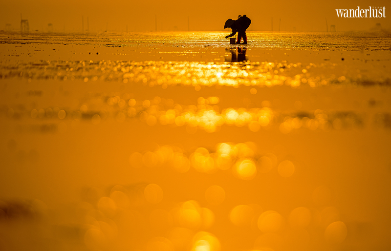 Biển vô cực ảo diệu tại Thái Bình | Wanderlust Tips