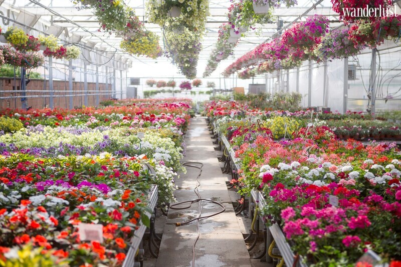 6 cảnh đẹp mê hồn du khách của Houston 10 Cảnh đẹp mê hồn du khách của Houston | Wanderlust Tips