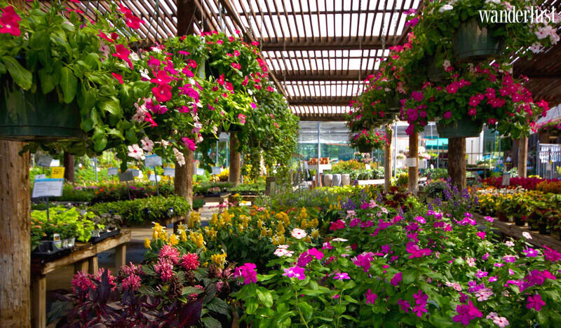 6 cảnh đẹp mê hồn du khách của Houston 11 Cảnh đẹp mê hồn du khách của Houston | Wanderlust Tips