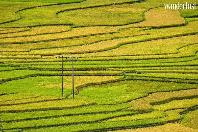 Du lịch Điện Biên mùa thu và những điểm đến hấp dẫn 6 Du lịch Điện Biên mùa thu và những điểm đến hấp dẫn | Wanderlust Tips