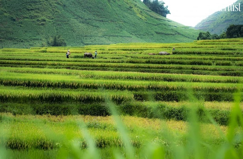 Du lịch Điện Biên mùa thu và những điểm đến hấp dẫn 5 Du lịch Điện Biên mùa thu và những điểm đến hấp dẫn | Wanderlust Tips