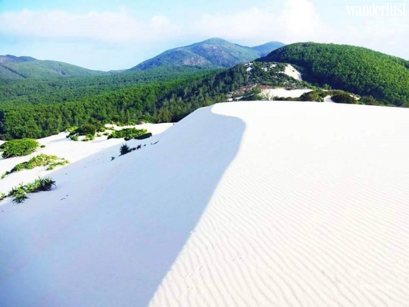 “Bỏ túi” các địa điểm cắm trại ở Phú Yên cho ngày hè nhiệt đới 10 Phú Yên và các địa điểm cắm trại nổi tiếng cho ngày hè nóng bức | Wanderlust Tips