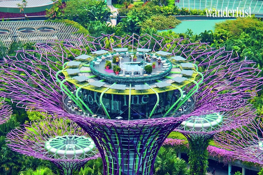 Singapore: Điểm hẹn diệu kỳ cho những tâm hồn nghệ sĩ 8 Singapore Botanic Gardens