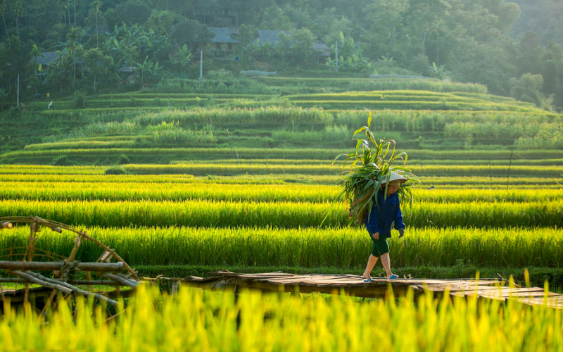 Du lịch Điện Biên mùa thu và những điểm đến hấp dẫn Du lịch Điện Biên mùa thu và những điểm đến hấp dẫn