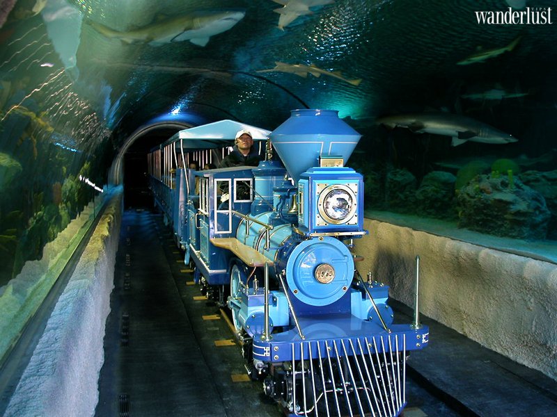 Cảnh đẹp mê hồn du khách của Houston | Wanderlust Tips