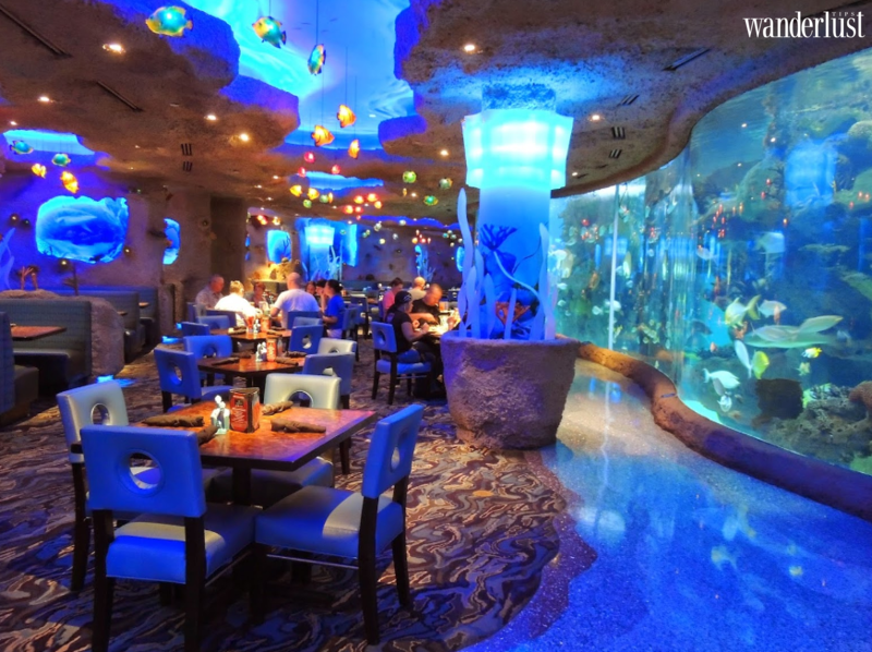 Cảnh đẹp mê hồn du khách của Houston | Wanderlust Tips