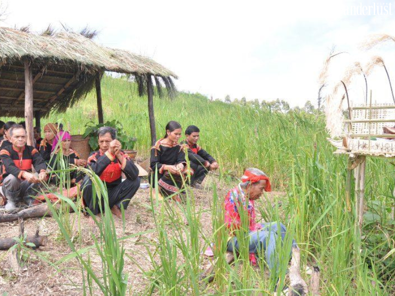 Đắk Lắk và những lễ hội đặc sắc không thể bỏ lỡ 7 Đắk Lắk và những lễ hội đặc sắc không thể bỏ lỡ | Wanderlust Tips