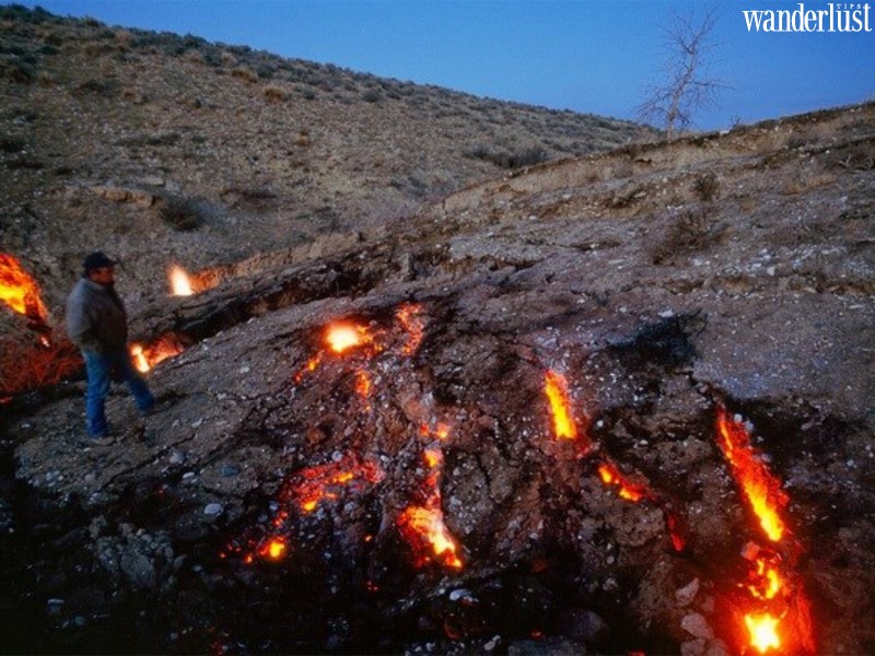 10 điểm đến rùng rợn không thể bỏ qua trong mùa Halloween (Phần 2) 8 dd halloween 003 1