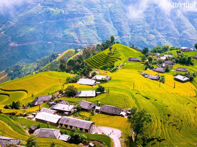 Mỗi khi đất trời chuẩn bị chuyển mình bước vào tiết trời mùa thu, lòng người lại dấy lên một niềm nhớ bâng khuâng. Thu về cho giọt nắng thêm vàng, cho làn gió nhẹ thêm mát lành, cho dòng nước hững hờ yên ả chẳng muốn trôi, cho tâm tư người ngẩn ngơ đắm chìm vào hương vị tuyệt diệu ấy. 