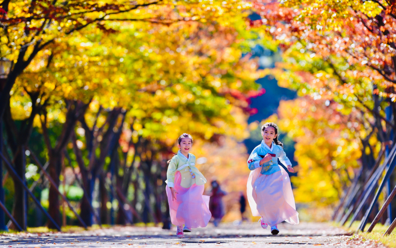 10 lý do chọn Hàn Quốc cho chuyến Du lịch Khen thưởng của Doanh nghiệp