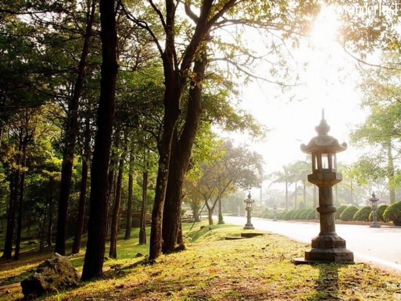 Mùa thu quanh năm tại 3 địa điểm ở Việt Nam 9 thu vn 006