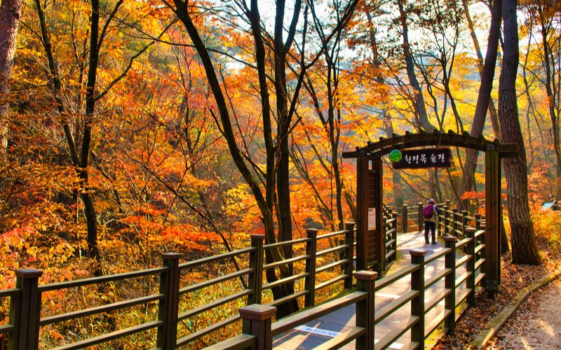 Thông tin thêm về sản phẩm du lịch miễn visa khi nhập cảnh Yangyang dành cho khách Việt Nam