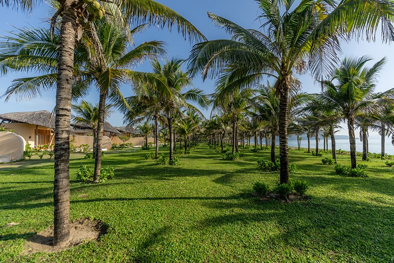Ana Mandara Cam Ranh ra mắt diện mạo mới với tiện ích hoàn thiện | Wanderlust Tips