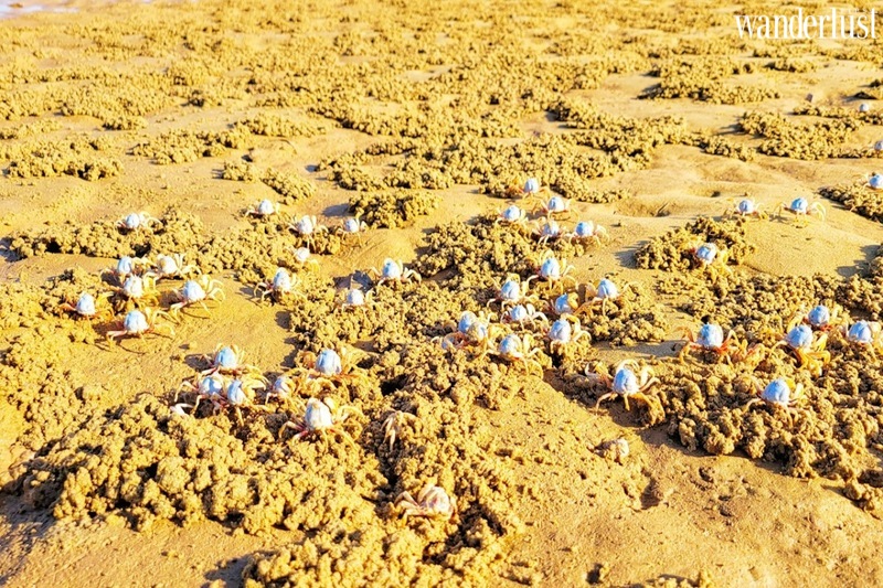 Mũi Lòng Vàng: Lạc vào trốn thanh bình 9 Mũi Lòng Vàng, lạc vào trốn thanh bình | Wanderlust Tips