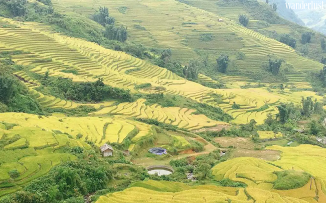 Tây Bắc chuyển mình sang đông: Thơ mộng và hùng vĩ