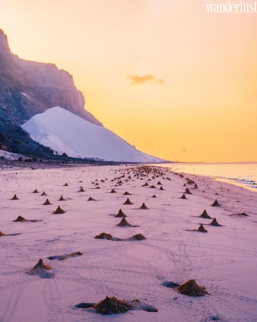 Socotra - "Vùng đất ngoài hành tinh", thơ mộng